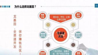 龍基因加盟 實體店培訓成就火爆加盟店，教育信息咨詢助力創(chuàng)業(yè)成功