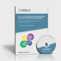 2022-2027年中國電力技術(shù)服務(wù)和咨詢行業(yè)競爭格局及投資風(fēng)險分析